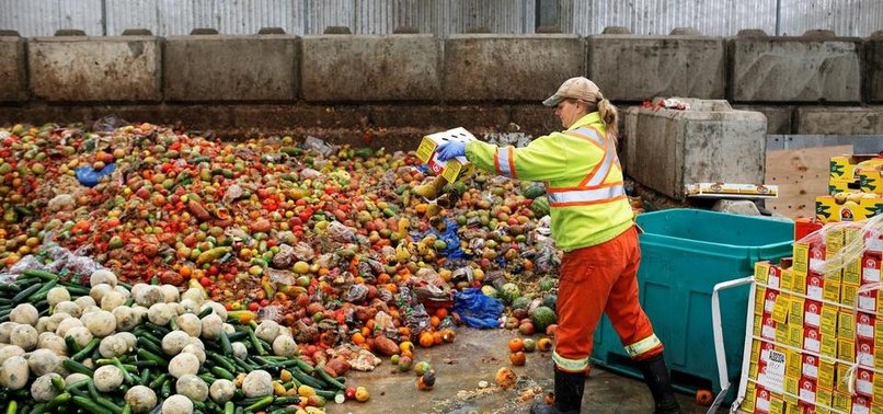 UN REPORT SAYS 17% OF FOOD WASTED AT CONSUMER LEVEL