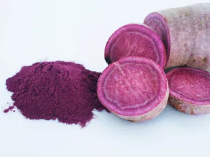 Ube Hakkında Her Şey