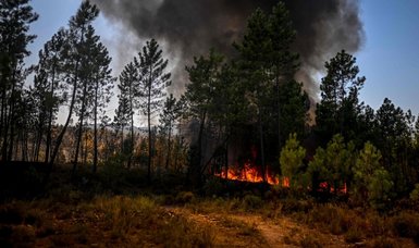 Several forest fires in Portugal; 1,400 people evacuated in Odemira