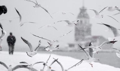 İstanbul'a kar geliyor
