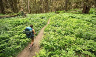 OGM’den ekoturizm atağı