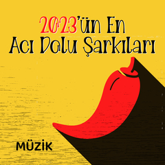 Ayrı Gitme