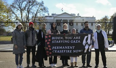 Activists, U.S. state legislators launch hunger strike in support of Gaza cease-fire
