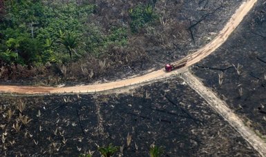 Brazil responds to less than 3% of deforestation alerts: study