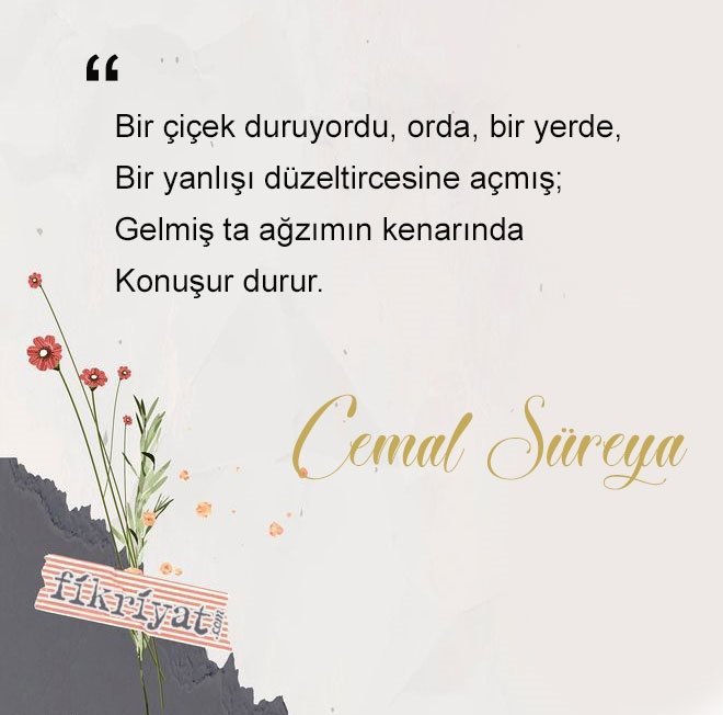 Bir Çiçek