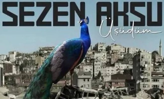 Sezen Aksu Üşüdüm