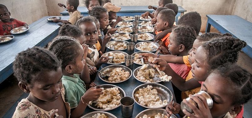 MADAGASCARS FOOD CRISIS IS RISKING CHILDRENS LIVES, AID GROUP WARNS