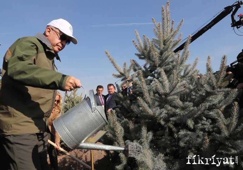 DİKTİĞİMİZ FİDANLARLA GÜRLEMEYİ SÜRDÜRECEĞİZ