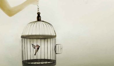 SINIR, HADDİNİ BİLMEKTİR