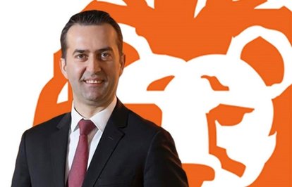 INGTürkiyeyeyenigenelmüdüryardımcısı